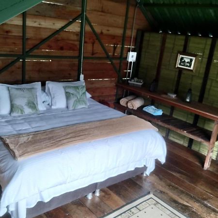 Ecohotel Pinohermoso Reserva Natural Salento Eksteriør bilde
