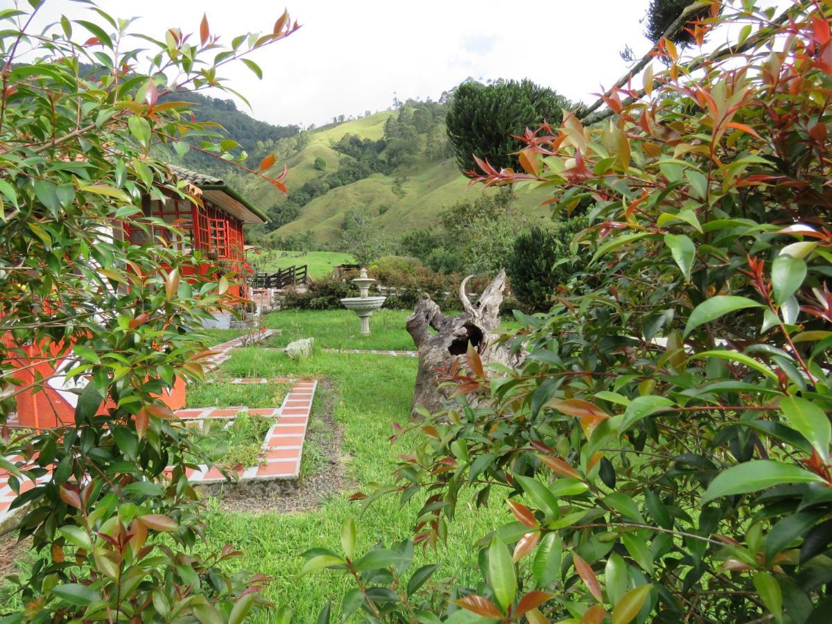 Ecohotel Pinohermoso Reserva Natural Salento Eksteriør bilde