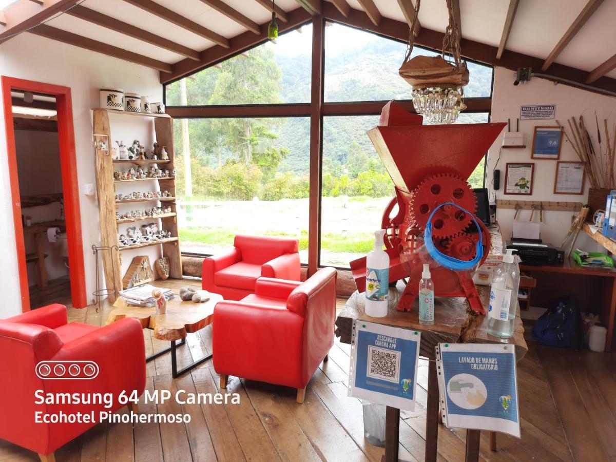 Ecohotel Pinohermoso Reserva Natural Salento Eksteriør bilde