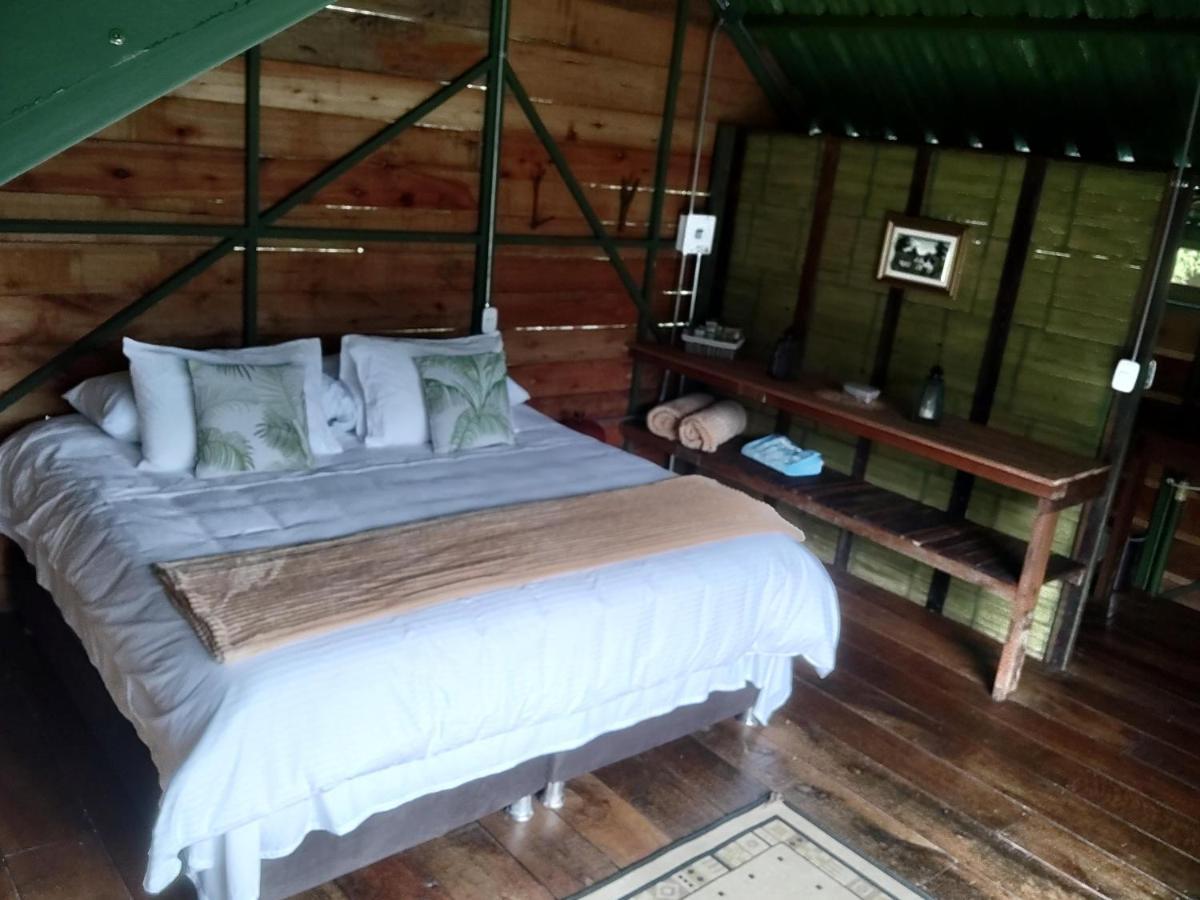 Ecohotel Pinohermoso Reserva Natural Salento Eksteriør bilde