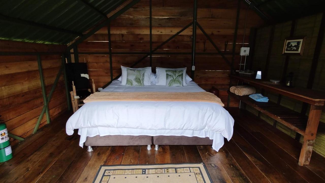 Ecohotel Pinohermoso Reserva Natural Salento Eksteriør bilde