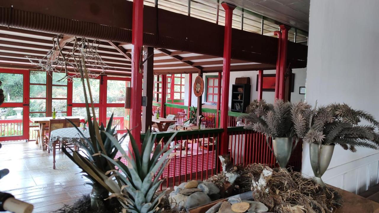 Ecohotel Pinohermoso Reserva Natural Salento Eksteriør bilde