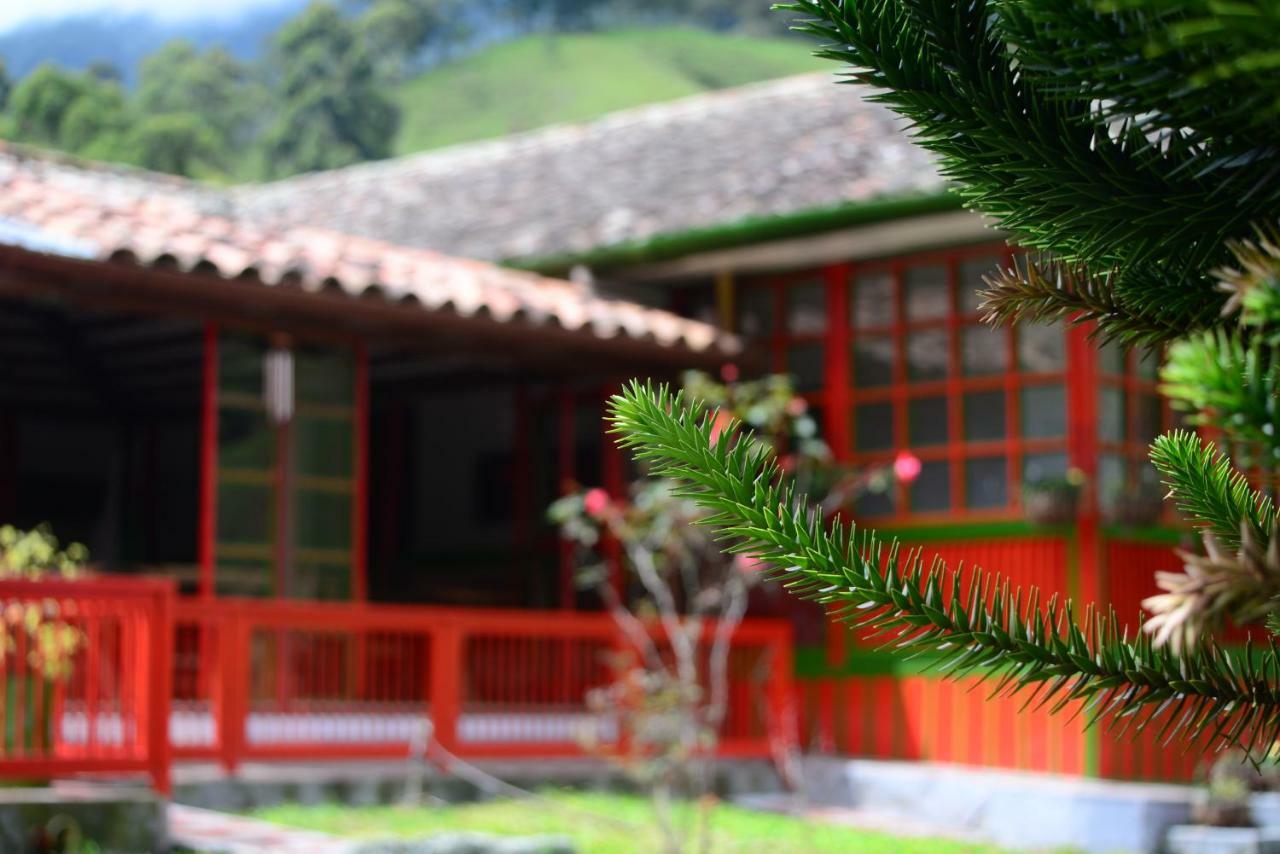 Ecohotel Pinohermoso Reserva Natural Salento Eksteriør bilde