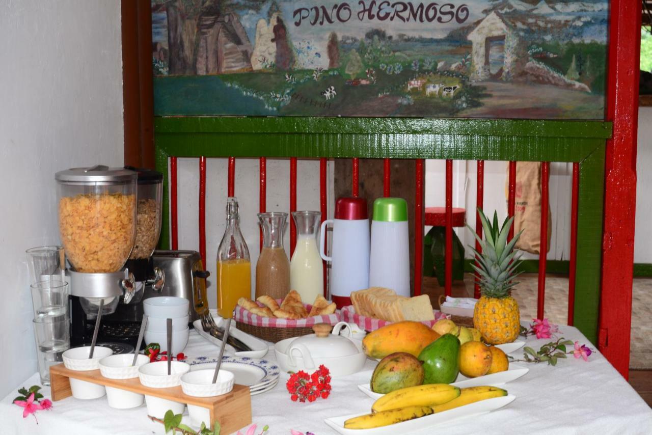 Ecohotel Pinohermoso Reserva Natural Salento Eksteriør bilde