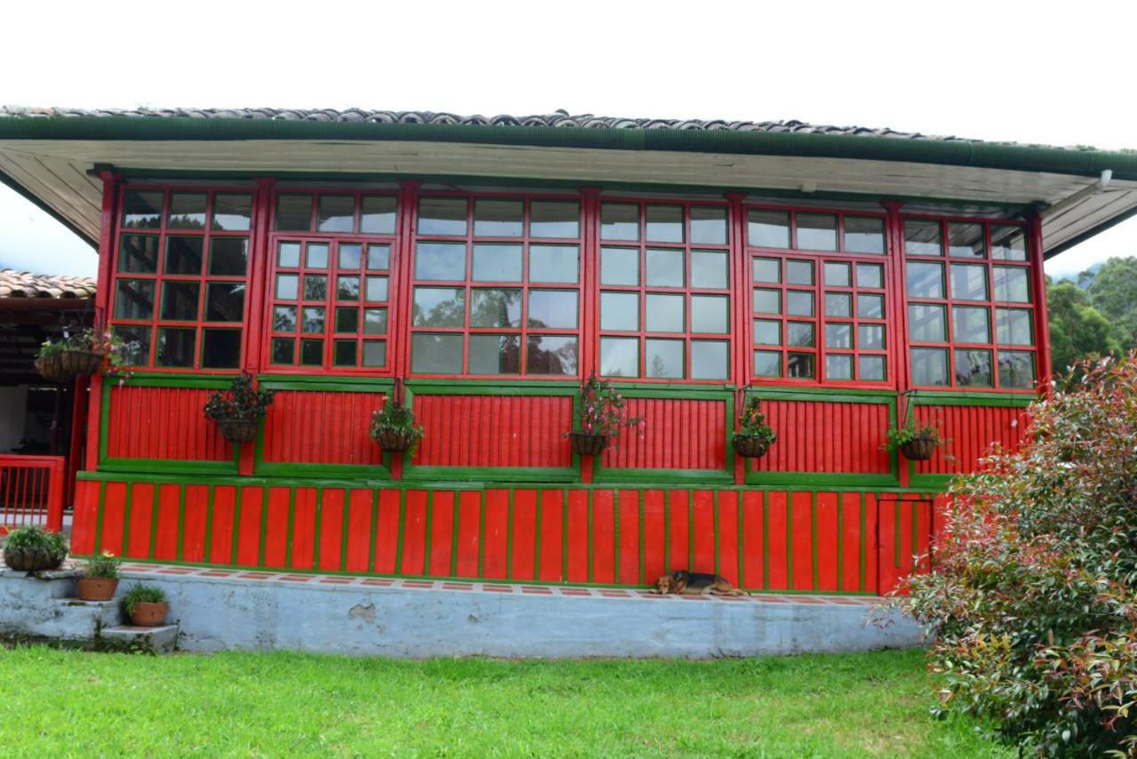 Ecohotel Pinohermoso Reserva Natural Salento Eksteriør bilde