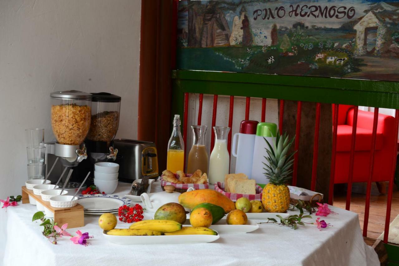 Ecohotel Pinohermoso Reserva Natural Salento Eksteriør bilde