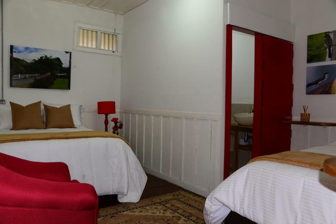 Ecohotel Pinohermoso Reserva Natural Salento Eksteriør bilde
